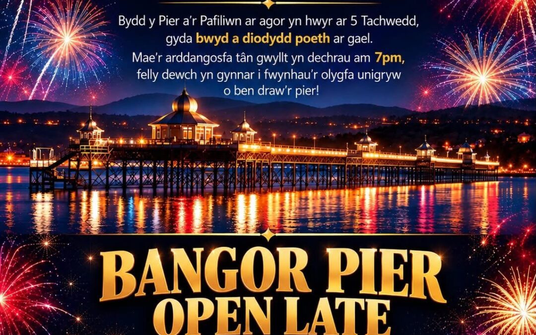 Come to the Pier to Watch the Fireworks on November 5th!